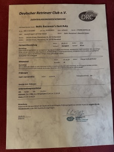 0CFD5B7B-8E89-427B-9727-1F4E2EADDD8C