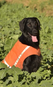 C6102AEC-2461-4A53-AAEA-CF8A72B976AA