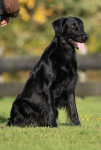 FA17102A-669F-4F83-AADD-55865CD7A4F1