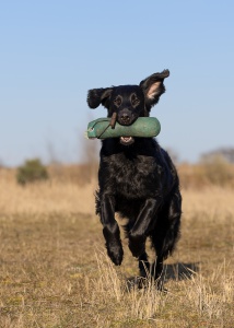 723182CB-B9B1-4D20-BC74-48CD31815CCA