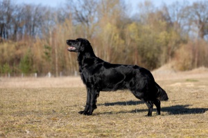 8CCBB5C5-62AF-4877-84F2-B76291E89370