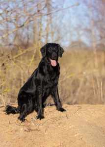 E43D89AD-853F-4A92-9ECC-CC942AFE3143