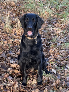 0E485654-620C-4807-AA4E-E94DA622FA88